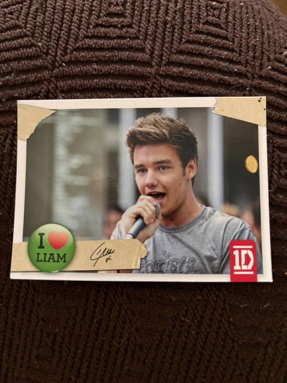 Official One Direction Trading Card Set Liam #8